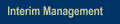 Interim Management
