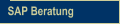 SAP Beratung