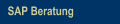 SAP Beratung